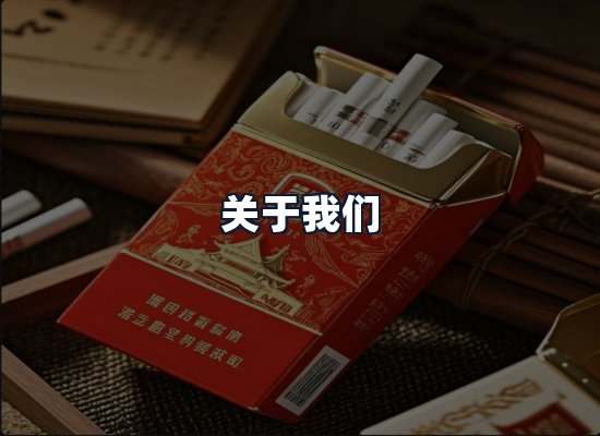 关于我们